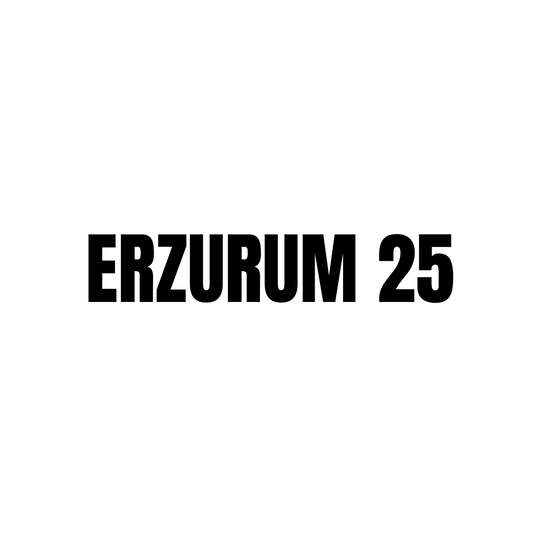 Erzurum 25