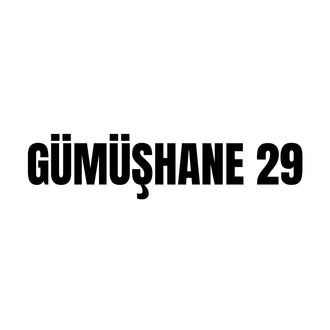 Gümüşhane 29