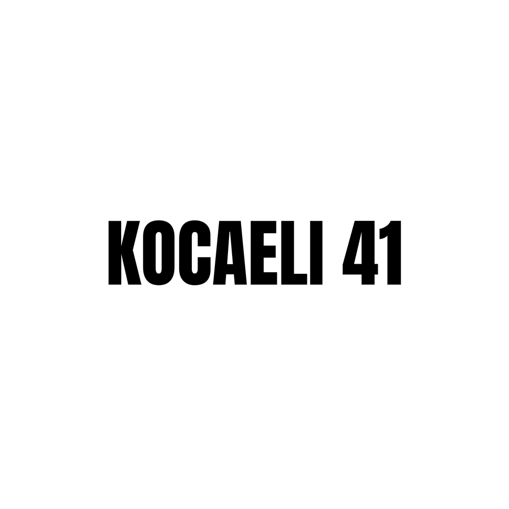 Kocaeli 41